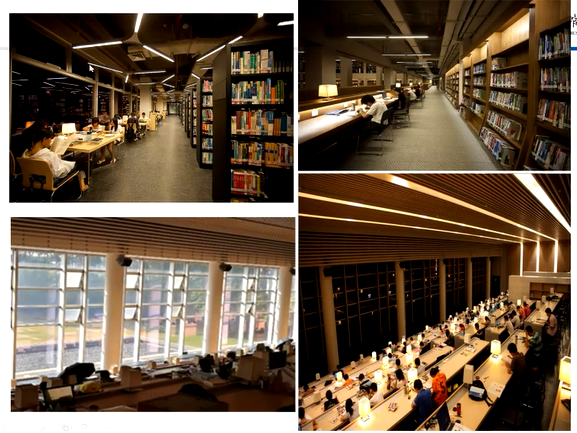 image-20211217114702348