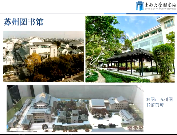 image-20211217113918013