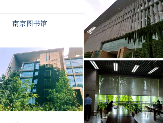 image-20211217115322937