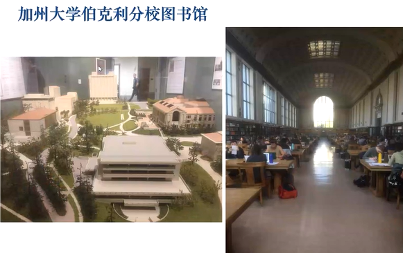 image-20211217115106129