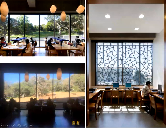 image-20211217115249653