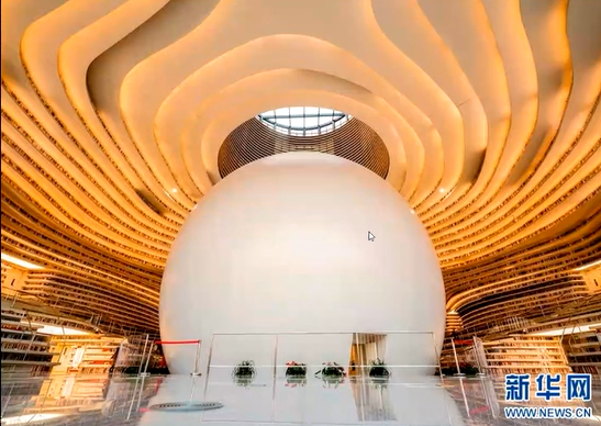 image-20211217101323016