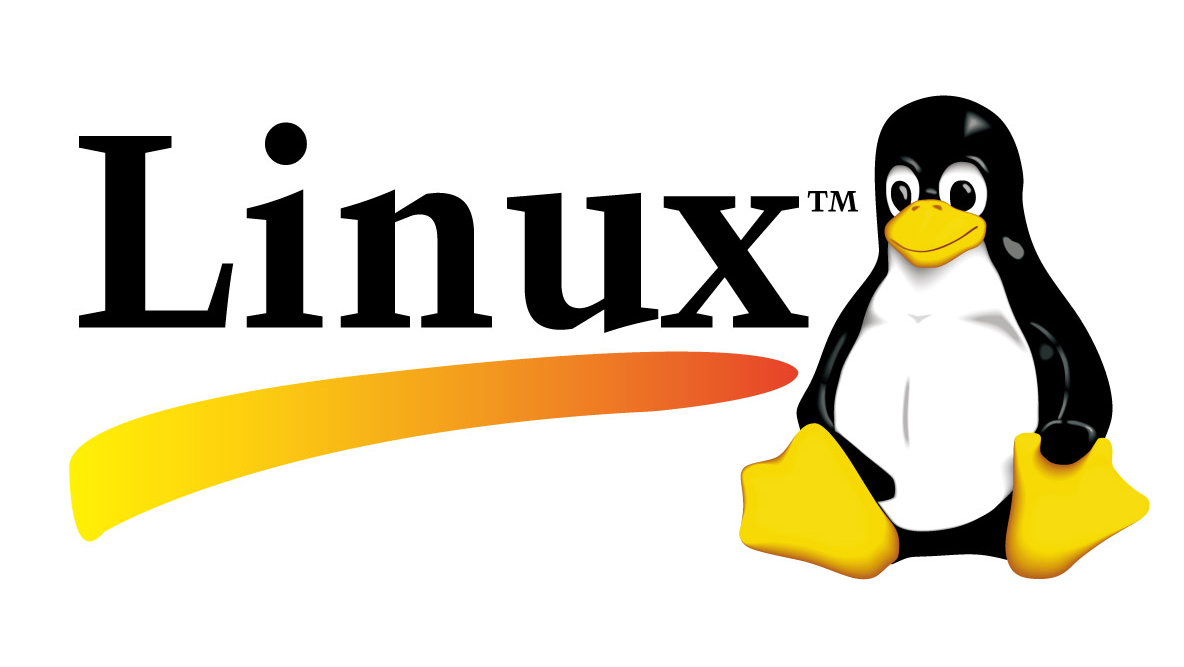 Linux 设备常用操作指令
