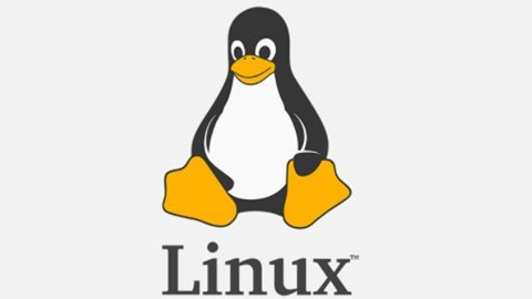 Linux 文件、目录结构及常用命令
