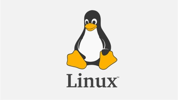 Linux系统安装与配置