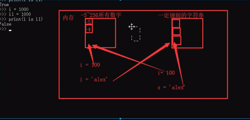 image-20211120210306785