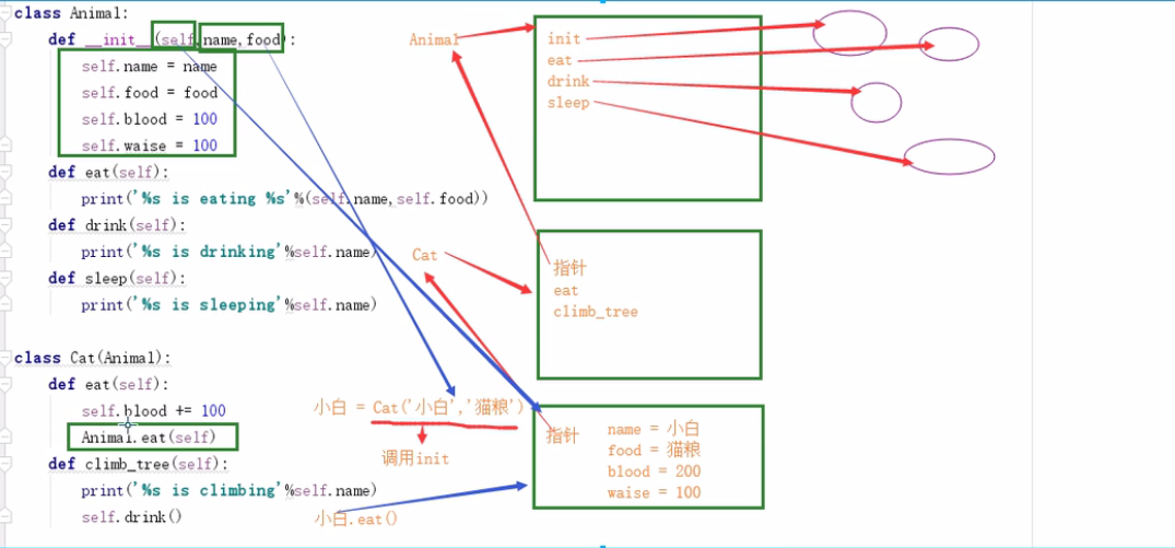 image-20211219115915508