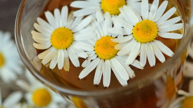 《C++自学入门》3.基本数据类型-3