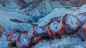 【题解】[CF888G] Xor-MST