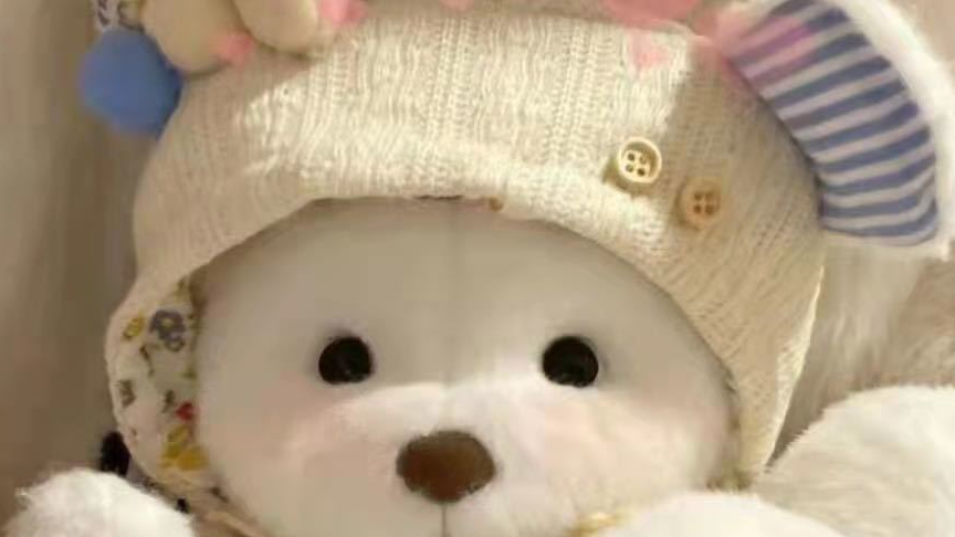 模型、假设函数、损失函数、决策函数