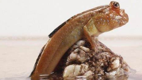 麦肯锡的“39个工作习惯”