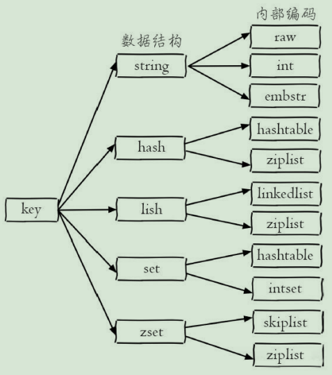 数据结构与编码