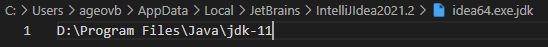idea64.exe.jdk