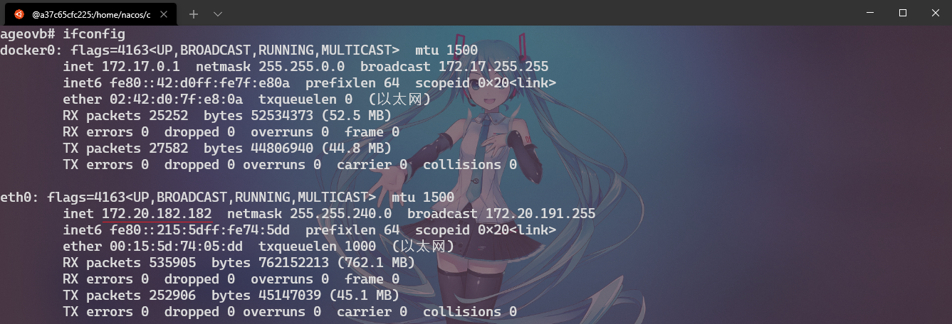 Linux 主机的 IP