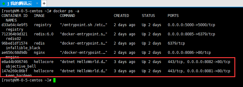 【Docker】1.在Linux里使用Docker部署一个Asp.NetCore HelloWord项目-小白菜博客