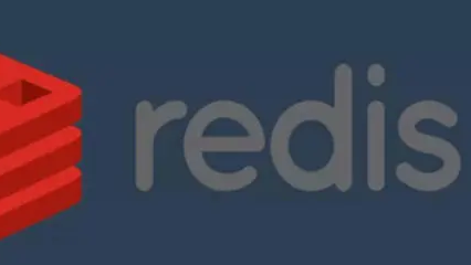 Redis 内存优化