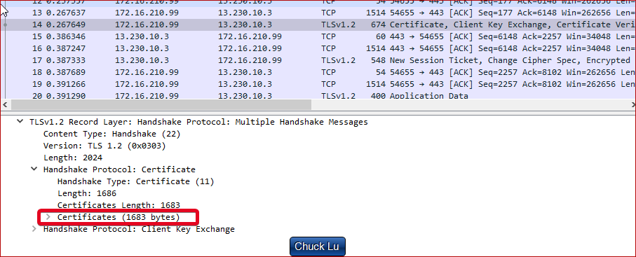 wireshark encrypted alert