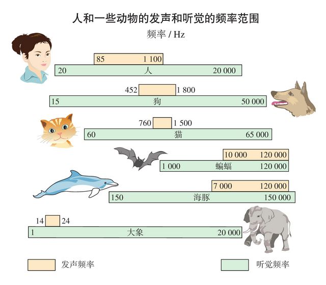 人和动物的发声和听觉频率