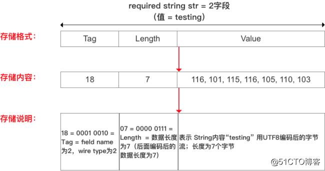 gRPC快速入门（二）——Protobuf序列化原理解析_Protobuf_06