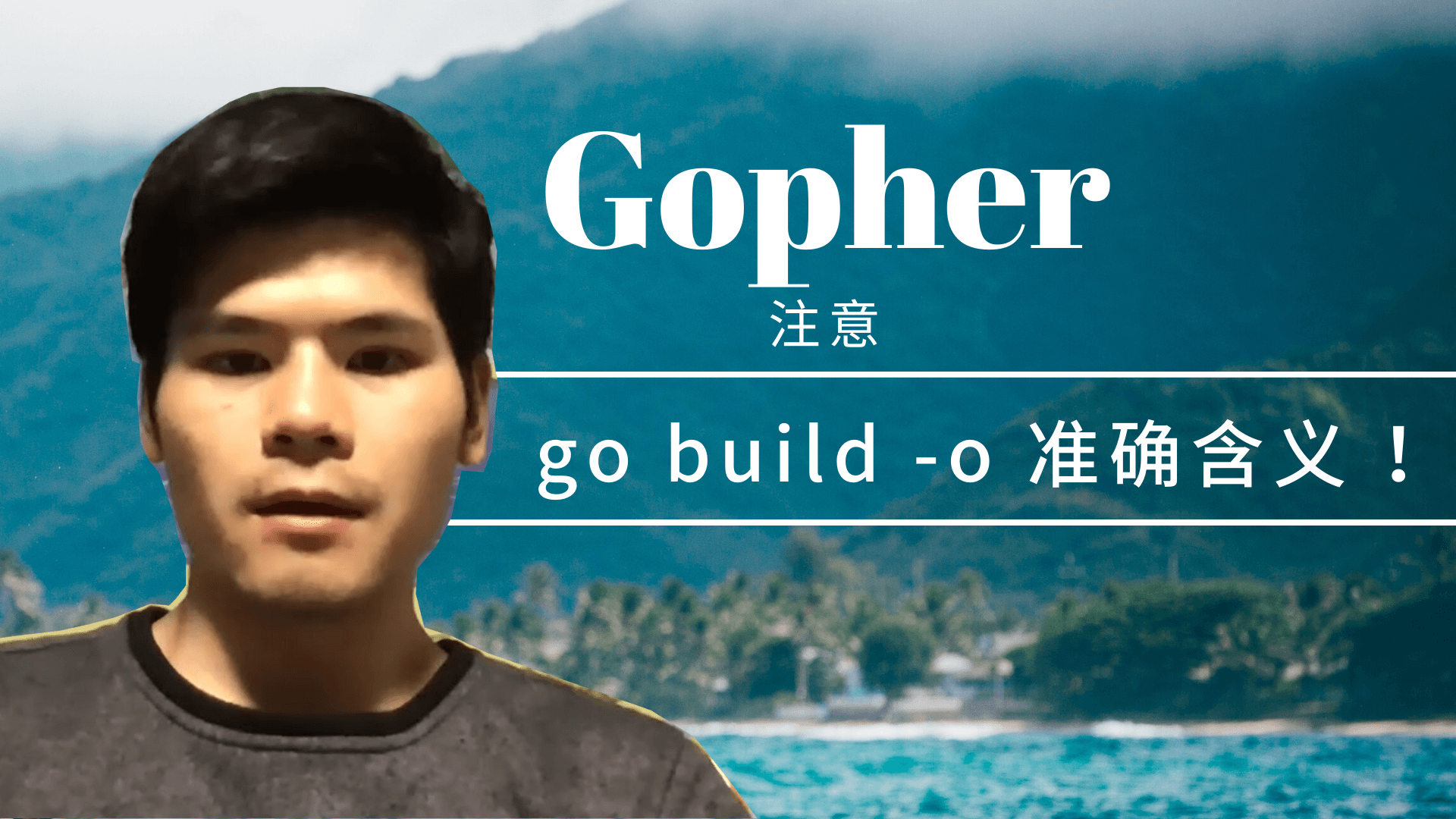 Gopher 注意 go build -o 选项的准确含义