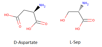 D-Aspartate and L-Sep Molecules