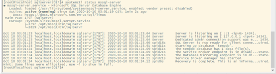 SQL Server On Linux：基于实际项目案例，总结功能支持情况及相关问题解决方案