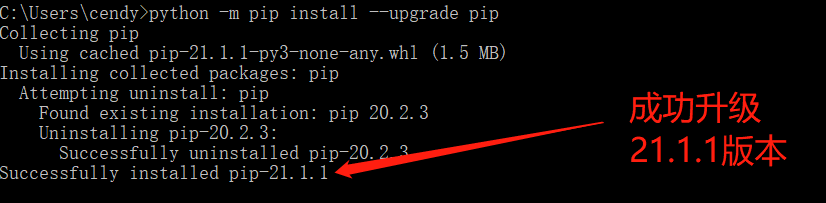 Python312/python.exe: No Module Named Pip
