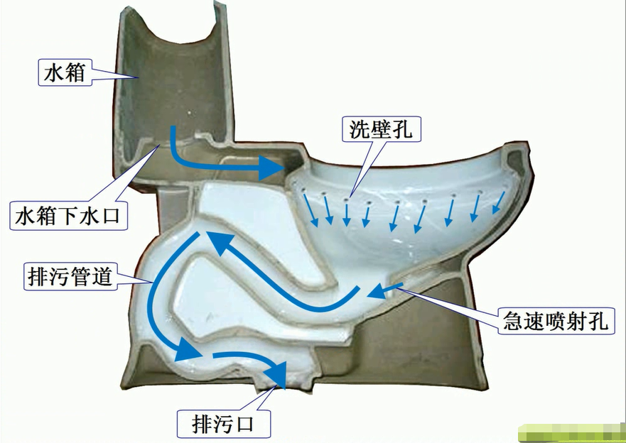 马桶后面构造图片