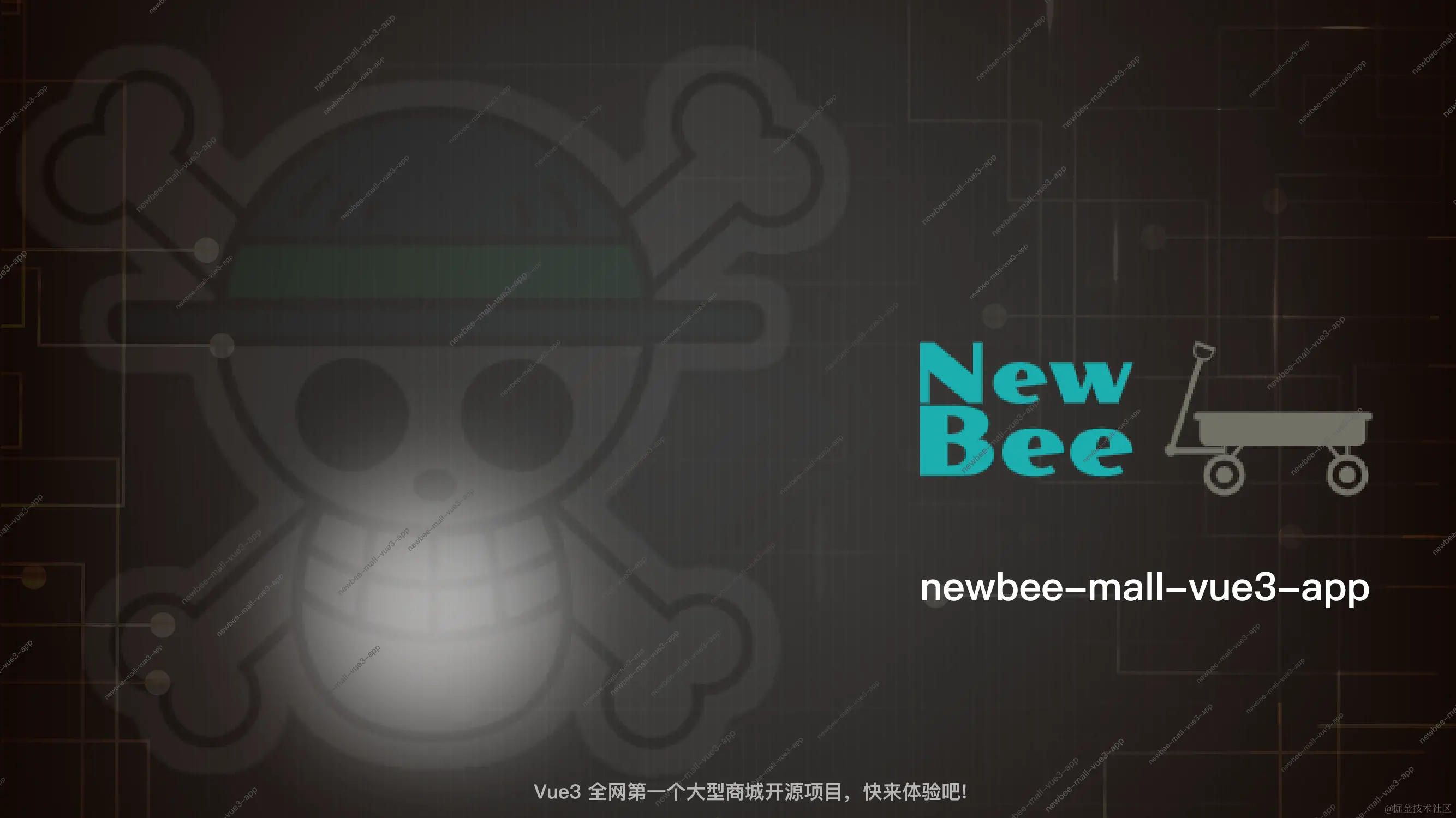 newbee-mall-vue3-app-宣传图