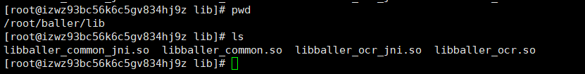 Spring Boot 在Linux环境中 使用System.loadLibrary("XXX") 加载so文件第1张