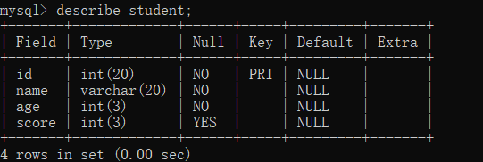 image-20210204221444727