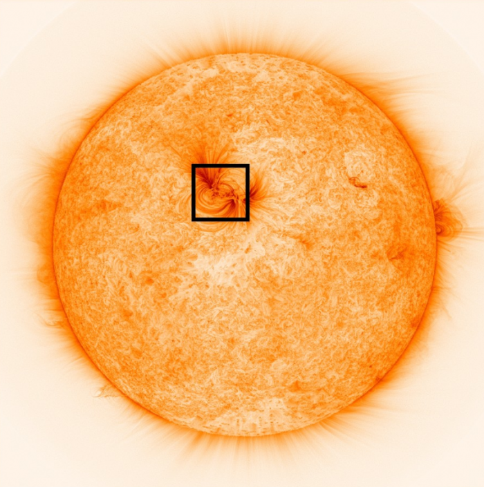 令人惊叹的高分辨率太阳图像显示出布满等离子体的漩涡状磁场线