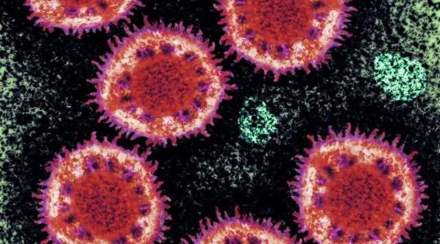 法国科学界质疑诺奖得主言论，指新冠病毒并非人造