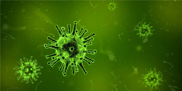 浙江大学发现新冠病毒至少有30种变异 欧洲的变异比美国更致命