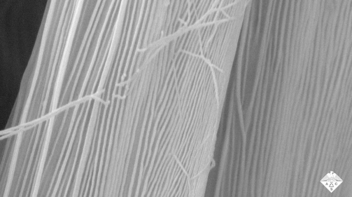 受蜘蛛启发：科学家找到更好的纳米纤维新处理技术