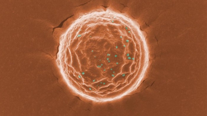 Nanotrap-Binding-Simulated-SARS-CoV-2-Virus.jpg