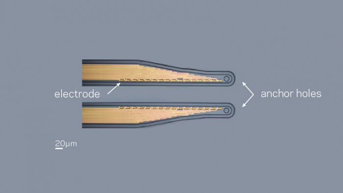 Micro-Fabricated-Electrode-Array-777x437.png