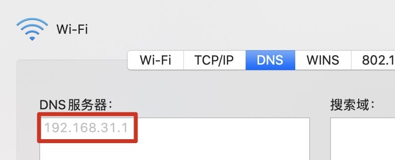 DNS 地址
