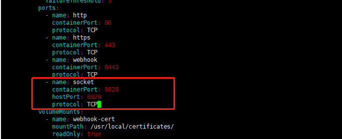 ingress-tcp-port